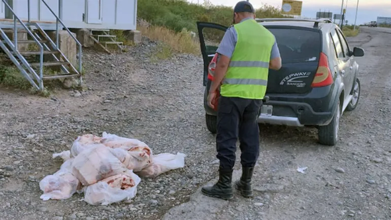 La región en alerta por Ántrax: decomisaron más de 130 kilos de carne