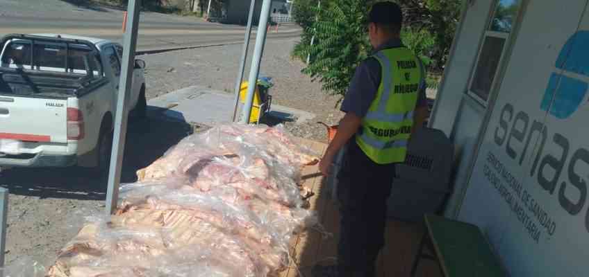 El Departamento de Seguridad Vial de Catriel retuvo 460 kilogramos de carne vacuna transportada de forma ilegal