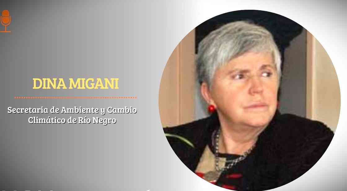 Renunció Dina Migani a la Secretaría de Ambiente
