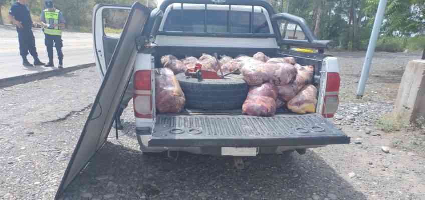 Catriel: Decomisan más de 400 kilos de carne durante un operativo