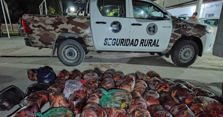 Secuestraron 400 kilos de carne de caballo ivan de 25 de Mayo hacia Catriel